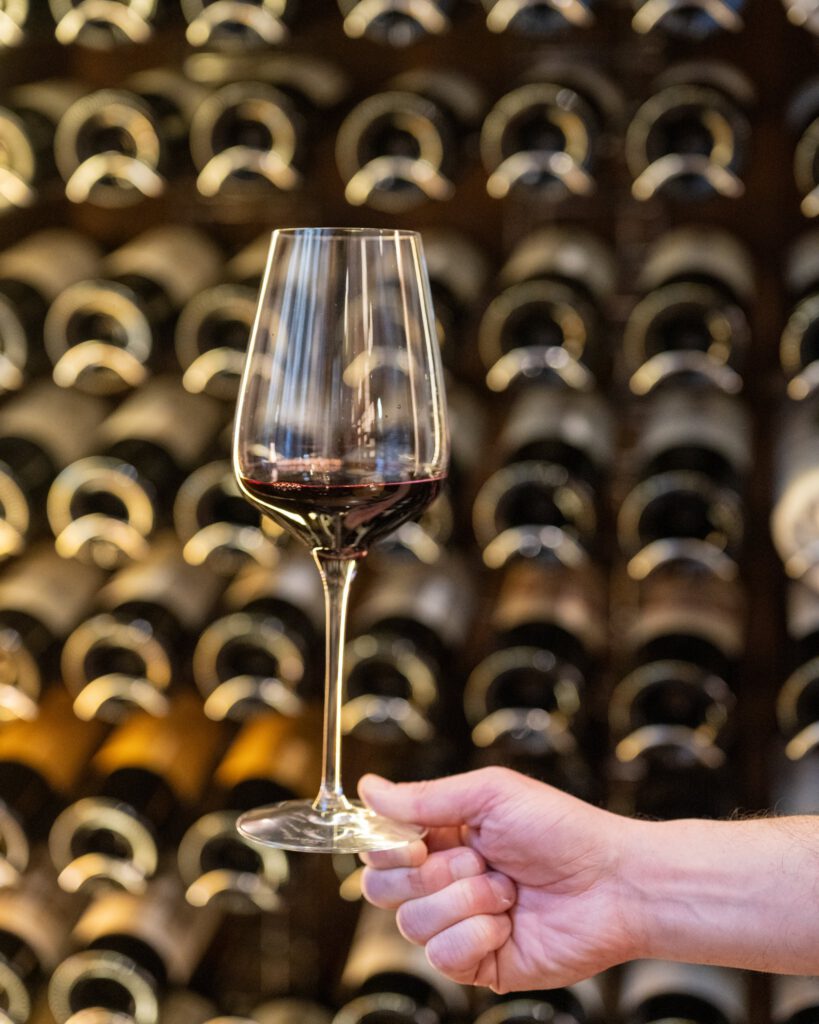 584562851 1447212777406536 7186845443584515235 n